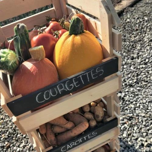 Alice's Garden Boîtes Lot De 3 Cagettes En Pin 6 Alice's Garden Boîtes Lot De 3 Cagettes En Pin – Image 4