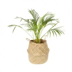 Compactor Paniers Et Corbeilles Panier De Rangement D45cm -Accessoires de cheminée Soldes panier de rangement d45cm 4