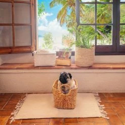 Compactor Paniers Et Corbeilles Panier De Rangement En Jacinthe D'eau Tressée 36x19cm -Accessoires de cheminée Soldes panier de rangement en jacinthe d eau tressee 36x19cm 4