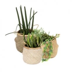 Compactor Paniers Et Corbeilles Panier De Rangement - Lot De 3 -Accessoires de cheminée Soldes panier de rangement lot de 3 7