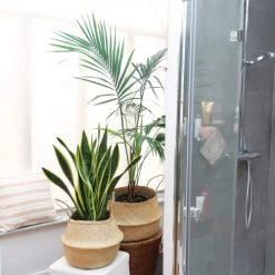 Compactor Paniers Et Corbeilles Panier En Jonc De Mer Naturel H26cm -Accessoires de cheminée Soldes panier en jonc de mer naturel h26cm 5